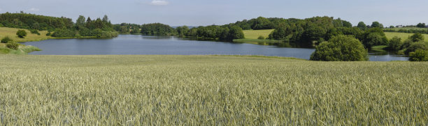 丹麦Vestbirk湖的景观图片下载