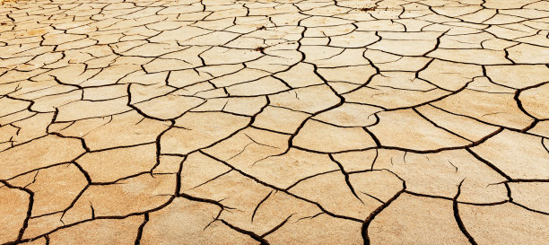 干土中有很多裂缝图片下载