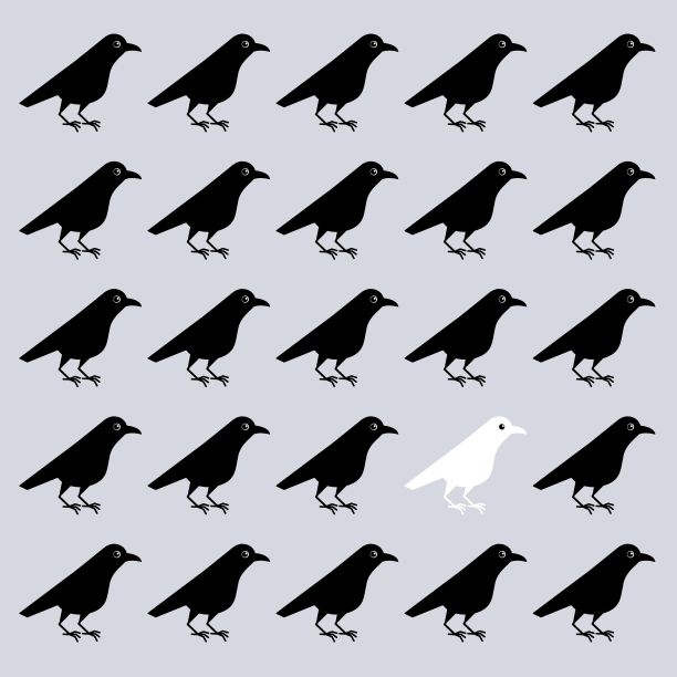 矢量插图白乌鸦在黑乌鸦中间，与众不同，对邻居感兴趣，个性突出，与众不同图片下载