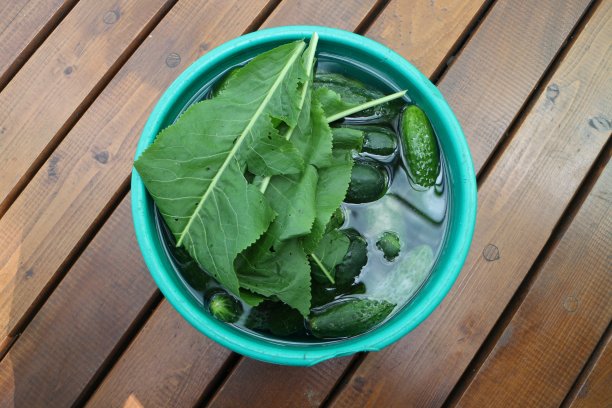 酸洗黄瓜图片下载