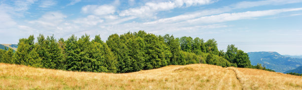 夏末的喀尔巴阡乡村图片下载
