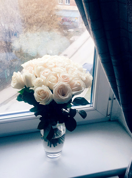 一束白玫瑰。图片下载