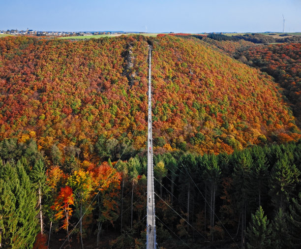 德国莫斯多夫附近的悬索桥Geierlay (Hangeseilbrucke Geierlay)鸟瞰图图片下载