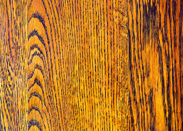背景:抛光橡木的特写，显示纹理图片下载