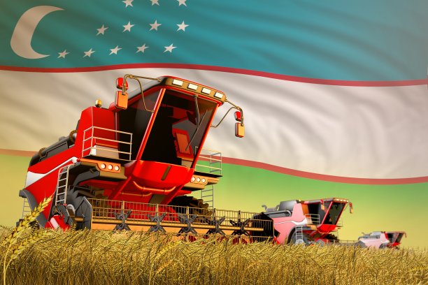 农业联合收割机工作在农田与乌兹别克斯坦旗帜背景，食品生产概念-工业三维插图图片下载