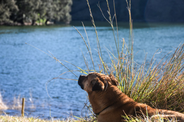 冷静；放松图片下载