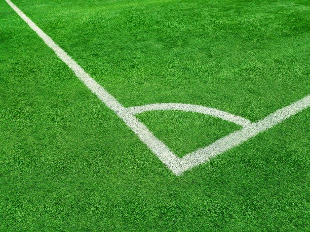绿草(足球场)纹理背景图片下载