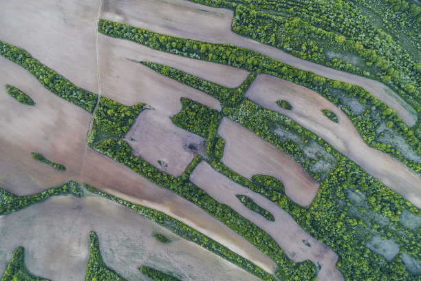 大自然在夏天形成。鸟瞰图美丽的绿色森林在山上盛开。图片下载