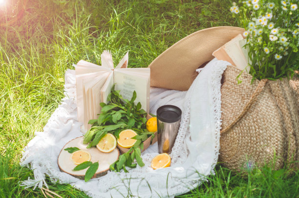 稻草袋，书，帽子，柠檬水和新鲜的柠檬一个阳光明媚的夏天图片下载