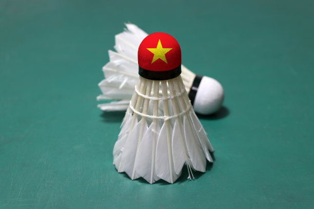 用过的毽子，头部涂有越南国旗，竖直放置，外聚焦毽子，水平放置在羽毛球场的绿色地板上。图片下载