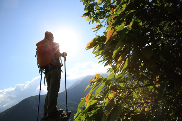 一位年轻的背包客在欣赏夏日山顶的景色图片下载