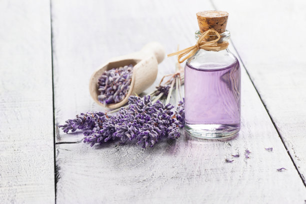 玻璃瓶的薰衣草精油与新鲜的薰衣草花和干燥的薰衣草种子在白色木制的乡村桌子上，香薰水疗按摩概念图片下载