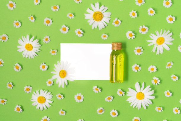 平铺的小模型瓶与水疗美容产品和孤立的白色卡在绿色背景与新鲜的甘菊花。女性美容和美容院化妆品概念。副本的空间。图片下载
