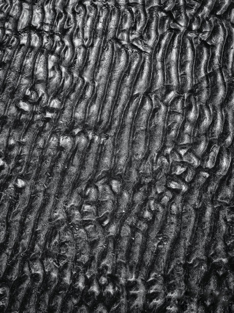 沙滩沙丘背景在单色图片下载