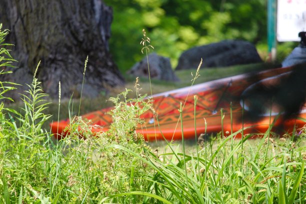 夏天kayak的乐趣图片下载