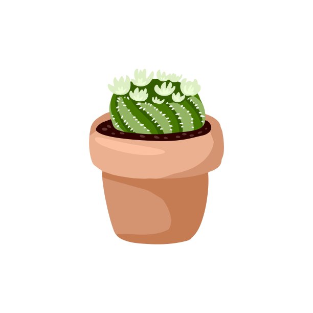 Hygge盆栽仙人掌。舒适lagom斯堪的纳维亚风格多肉孤立的形象图片下载