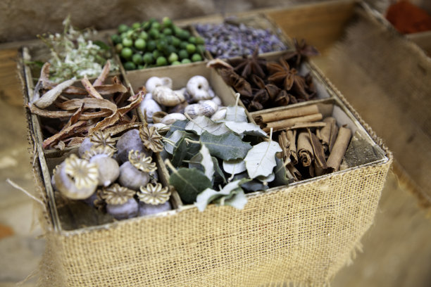 草本及药用植物图片下载