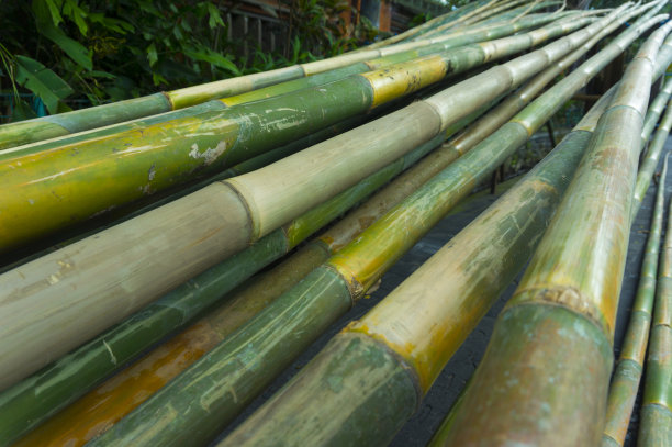 截竹林景区图片下载