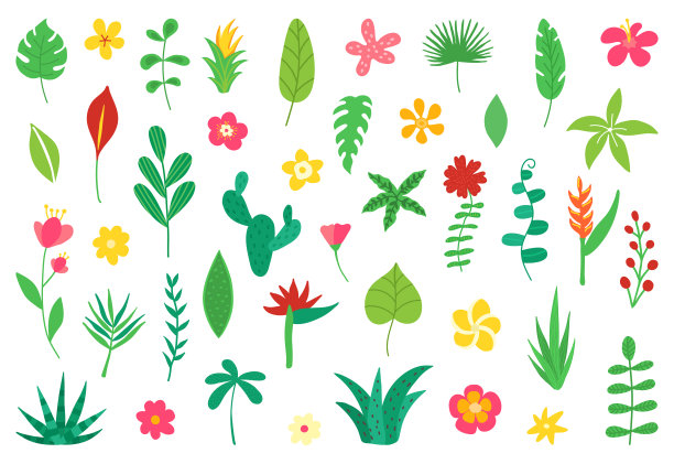 热带的花和叶收集。夏日海滩派对的异国情调元素。花的设计孤立在白色的背景。夏威夷花束，卡片，婚礼，墙纸，传单。矢量图图片下载