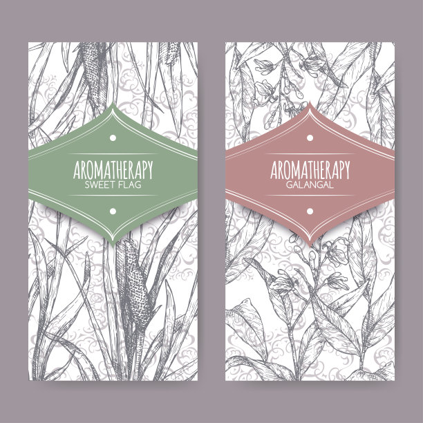 两个标签与菖蒲香旗和高良姜香高良姜素描在花边背景。图片下载