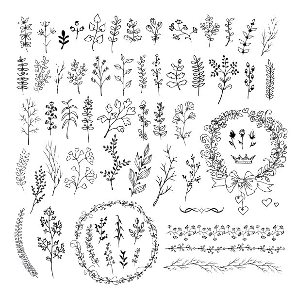 手绘线条花卉和浪漫的设计元素。一大堆孤立的矢量涂鸦图片下载