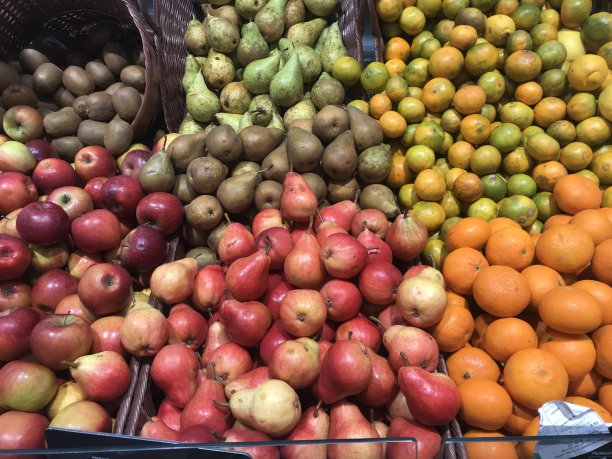 水果生物图片下载