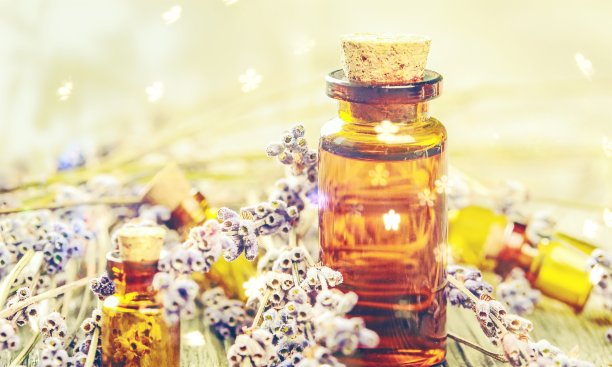 巴赫。图片下载