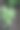 现代室内设计的花盆中的天然植物图片下载
