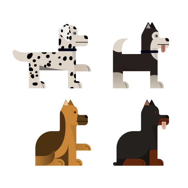 纯种狗可以坐也可以站。图片下载