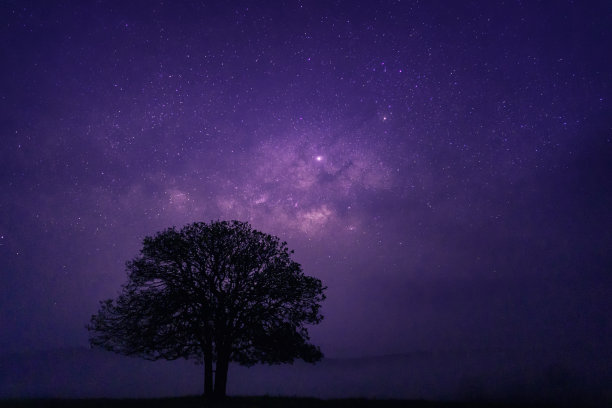 长时间曝光带纹照片。游客在大树下搭帐篷。在通卡芒自然公园的恒星和银河系天文学。Phu khao -野生动物保护区，chai phum，泰国。图片下载