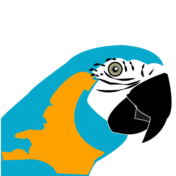 彩色头鹦鹉孤立在白色背景。奇异鸟。图片下载