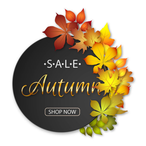 秋季大甩卖的横幅上有五颜六色的秋叶。图片下载