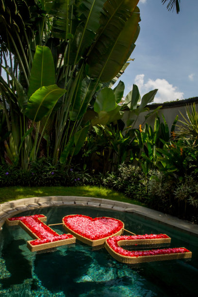 漂浮鲜花布置在游泳池，蜜月，生日或结婚纪念日装饰概念图片下载