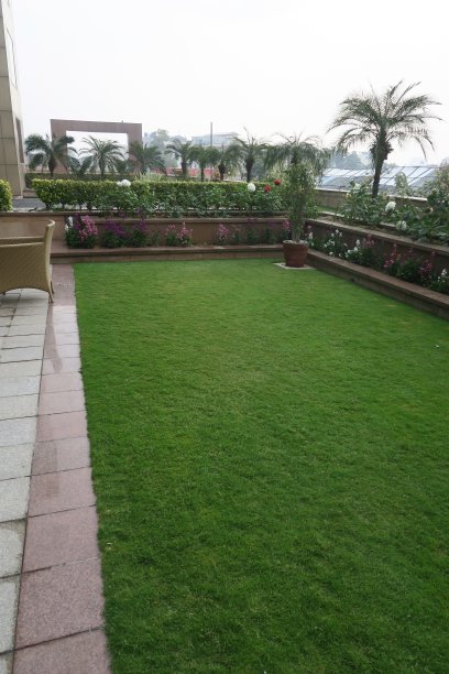 图像的异国情调花园与绿色的草坪，印度枣树，潮湿的庭院铺路板，夏季垫花植物，提高床照片图片下载