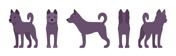 黑狗站图片下载