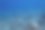 海洋中的鱼图片下载