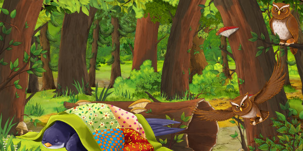 卡通夏季场景与深森林和鸟类猫头鹰和一些其他鸟类-没有人在现场图片下载