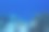 海洋中的鱼图片下载
