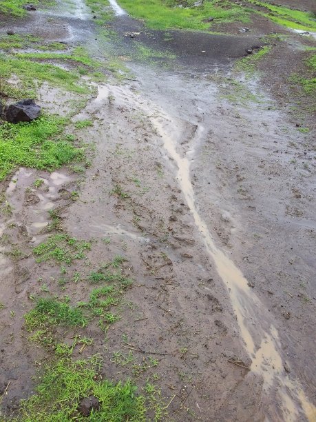 农业路图片下载