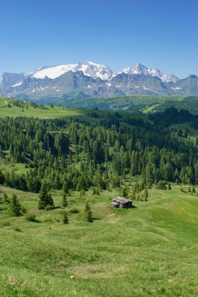 美丽的山景与绿色的牧场和马尔莫拉达峰在地平线上- Dolomites意大利。图片下载