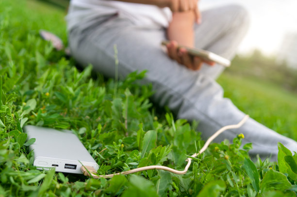 男孩一边打电话一边用电源充电。图片下载