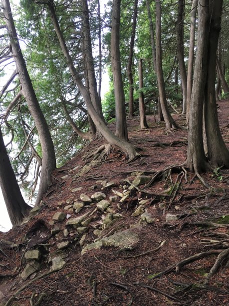 布鲁夫斯-斯特金湾，威斯康星州图片下载