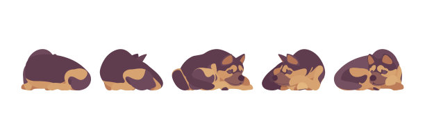 牧羊犬睡觉图片下载