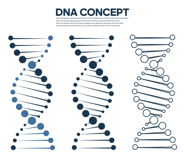 Dna概念矢量图标集图片下载