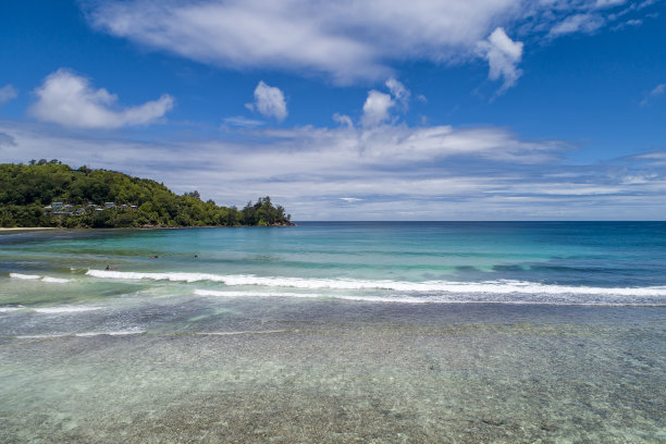 热带海滩，有大海和棕榈树，无人机拍摄。海滩和海边的照片。浪漫的海滩鸟瞰图。图片下载