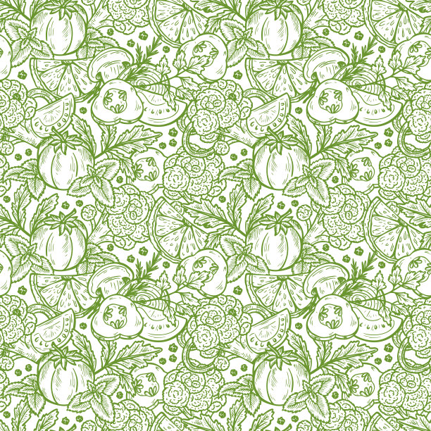 新鲜蔬菜矢量无缝模式。手绘素描蔬菜和水果与香草和香料。健康的产品。素食食物。图片下载
