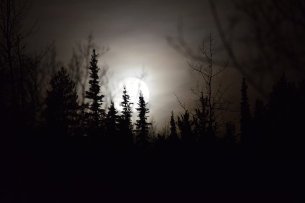 满月升起图片下载