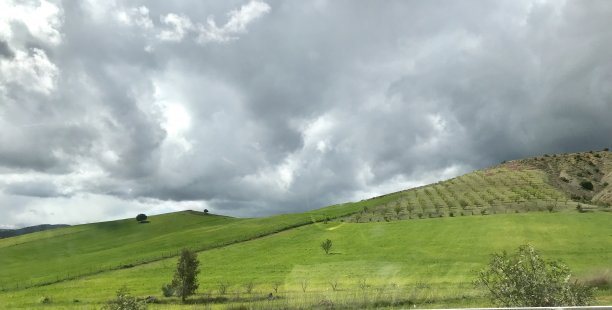 美狄亚图片下载