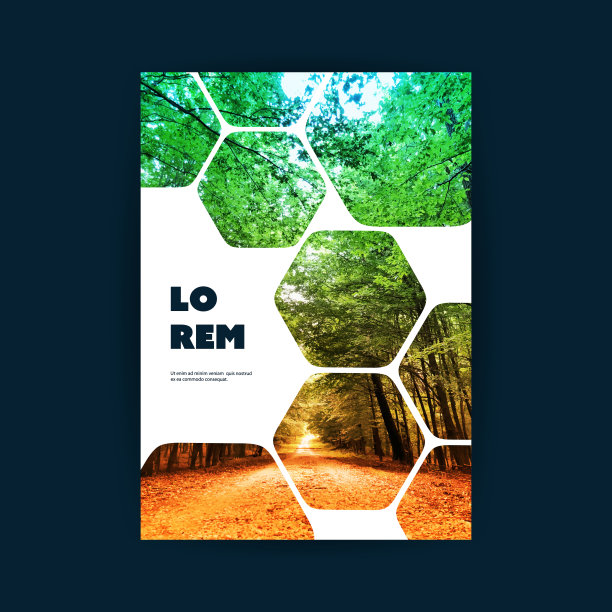 传单或封面设计-林地图片下载