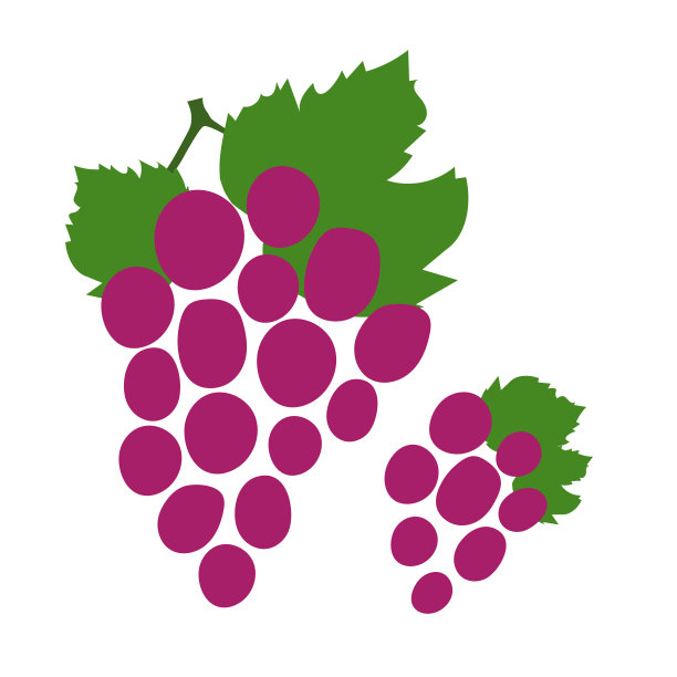 一串葡萄。手绘涂鸦矢量草图。甜的食物图片下载